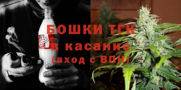 PSILOCYBIN Абаза