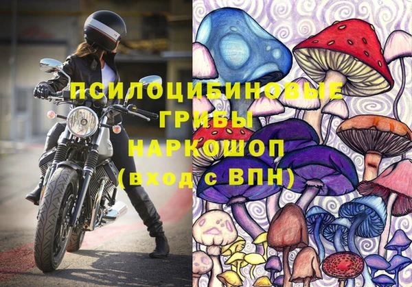 стафф Абинск