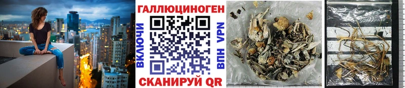 Галлюциногенные грибы ЛСД Кимовск