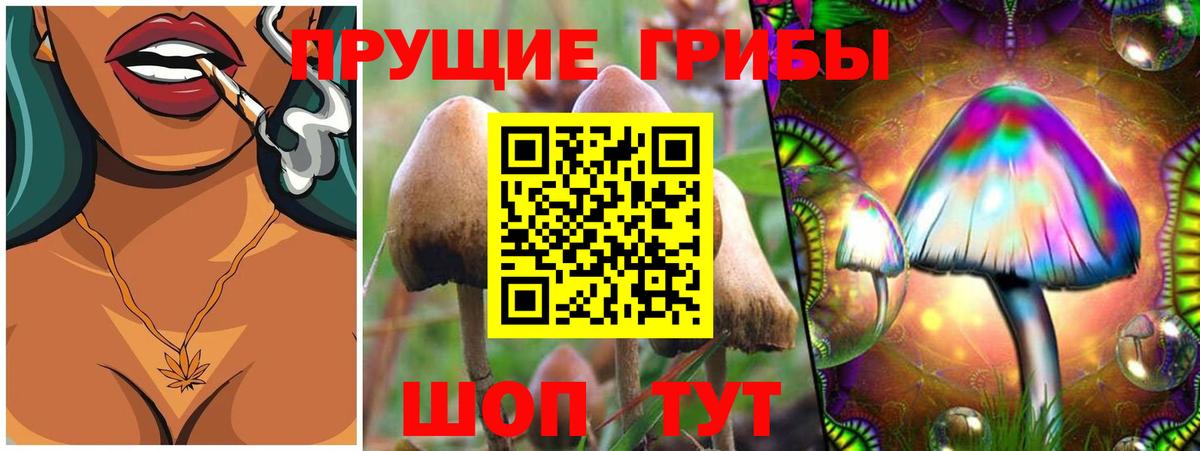 Галлюциногенные грибы ЛСД  Вход с VPN  Кимовск 